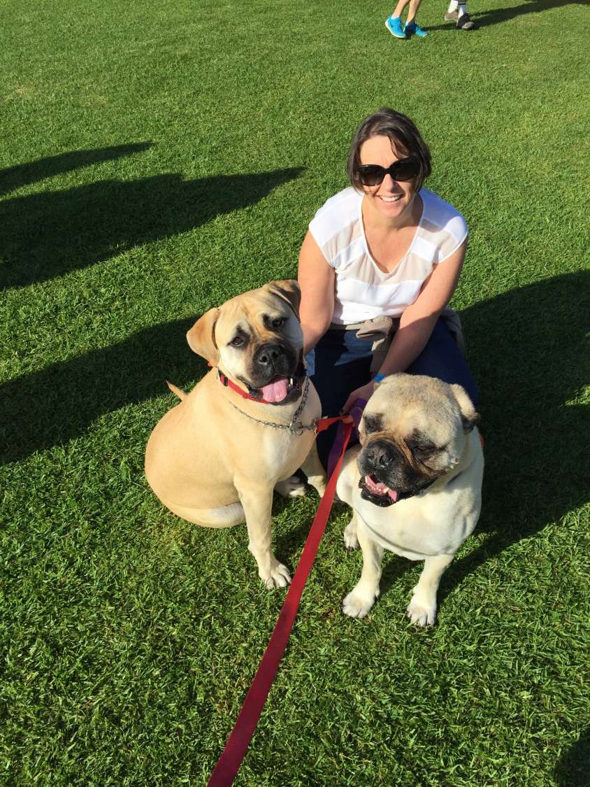 The Painted Dogs helping dogs! • Painted Dog Research