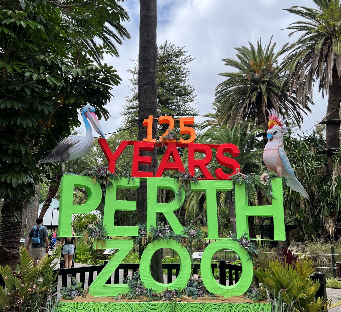 Goin’ Wild at the Zoo! • Painted Dog Research