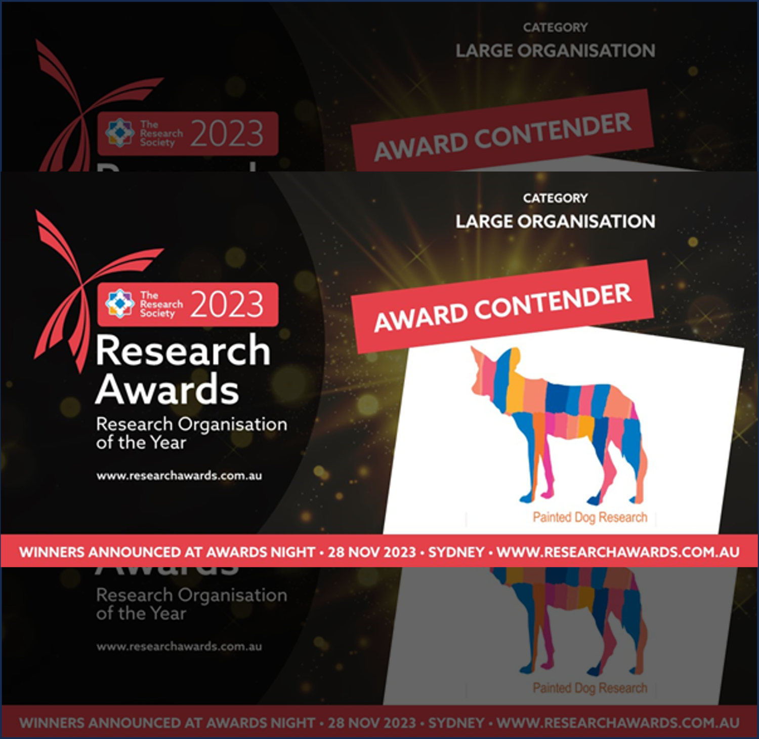 National Finalists for Research Organisation of the Year! • Painted Dog